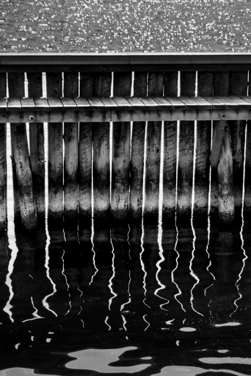 mönster skuggor solljus ljus krusningar vågor linjer textur lugnt detaljer abstrakt monokrom svartvit monochrome bildkonst hamn brygga lugnt vatten
