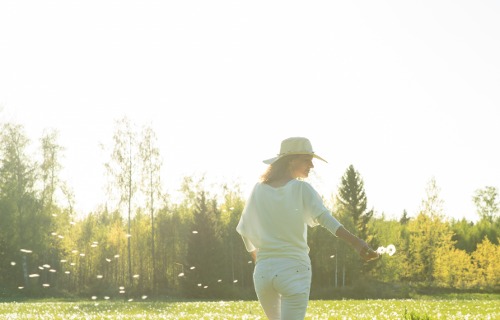 sommaräng med maskrosor i motljus