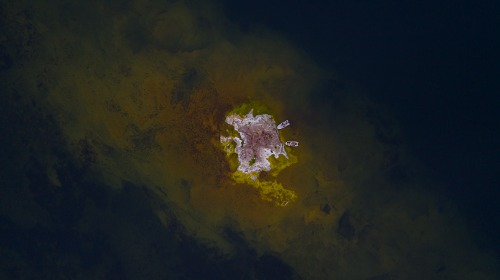 Utflykt på sjön till en ö