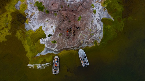 Utflykt på sjön till en ö