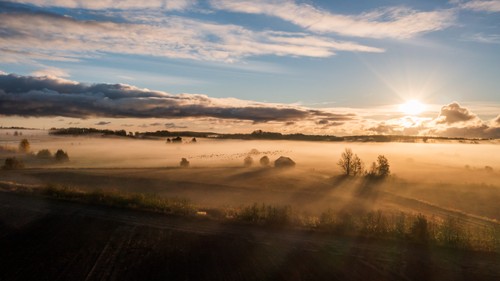 Hölada i höstväder