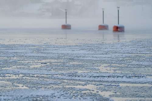 Vinter