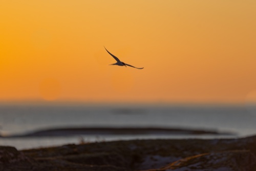 Solnedgång Klovskär Föglö 