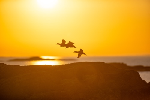 Solnedgång Klovskär Föglö 