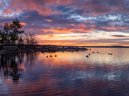 Sunrise 