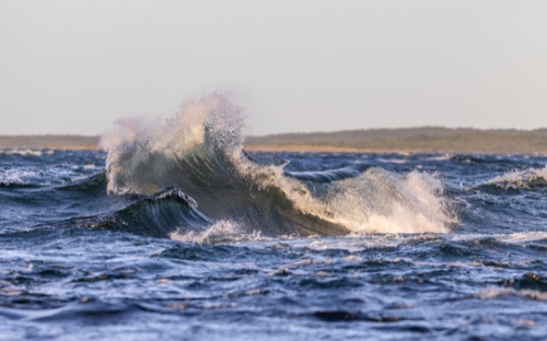 Bränning Hammarudda 